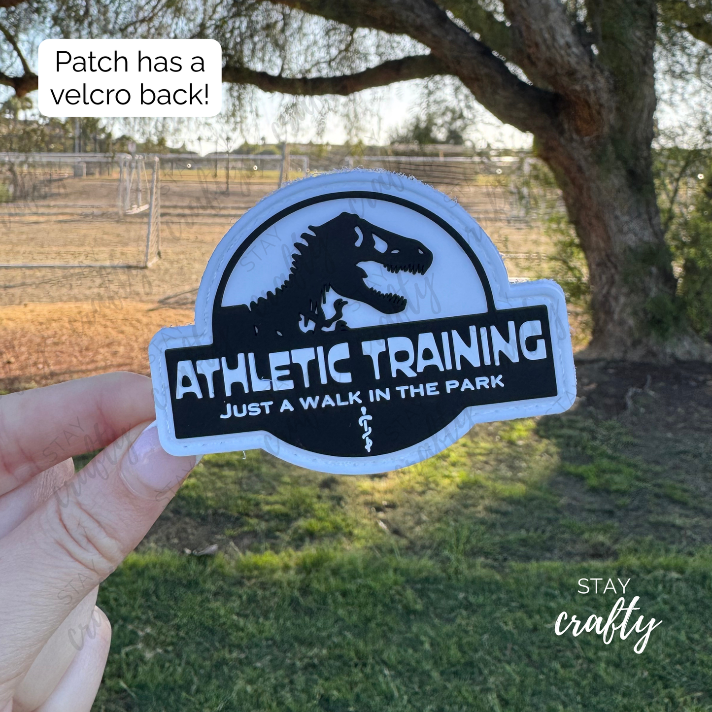 A Walk in the Park- Patch