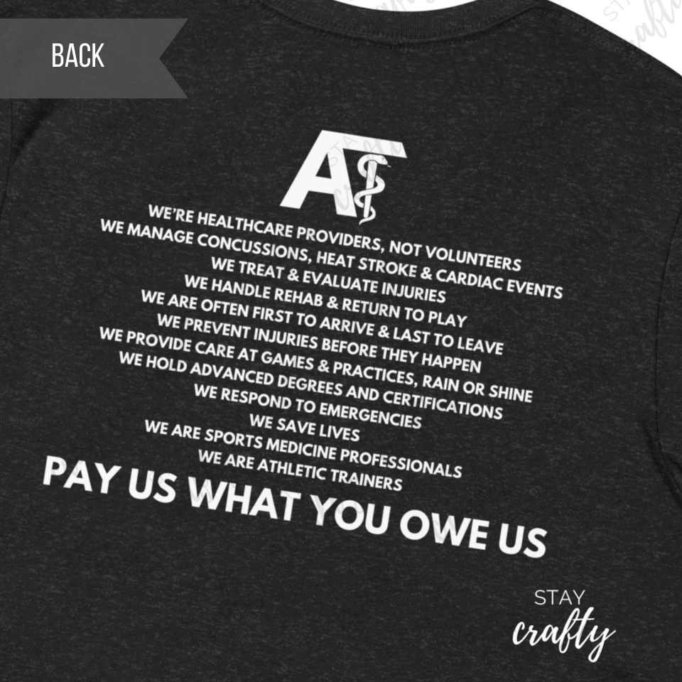 Pay us what you owe us- Unisex fit Shirt