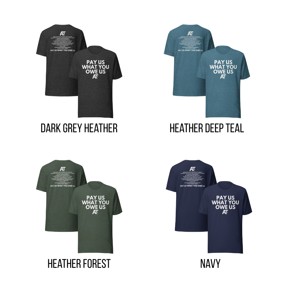 Pay us what you owe us- Unisex fit Shirt