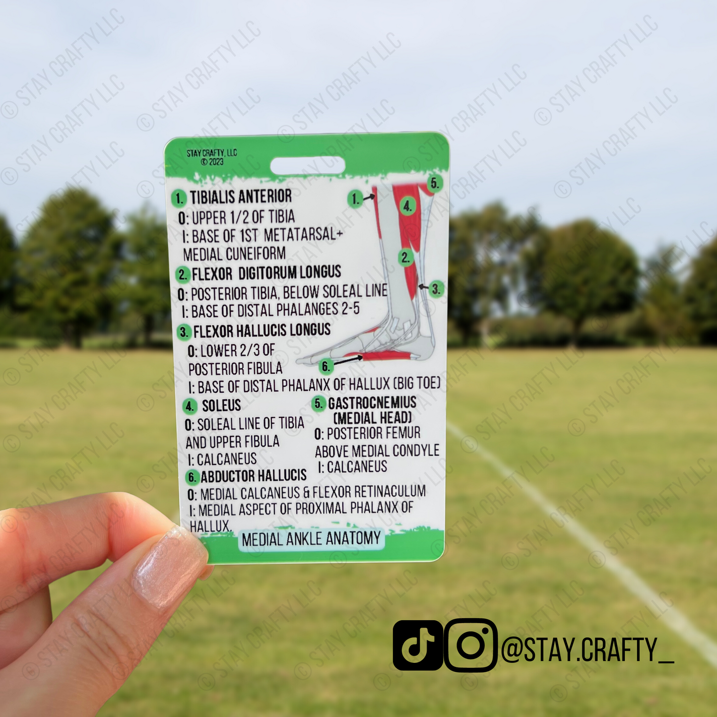 Ankle Anatomy Badge Card