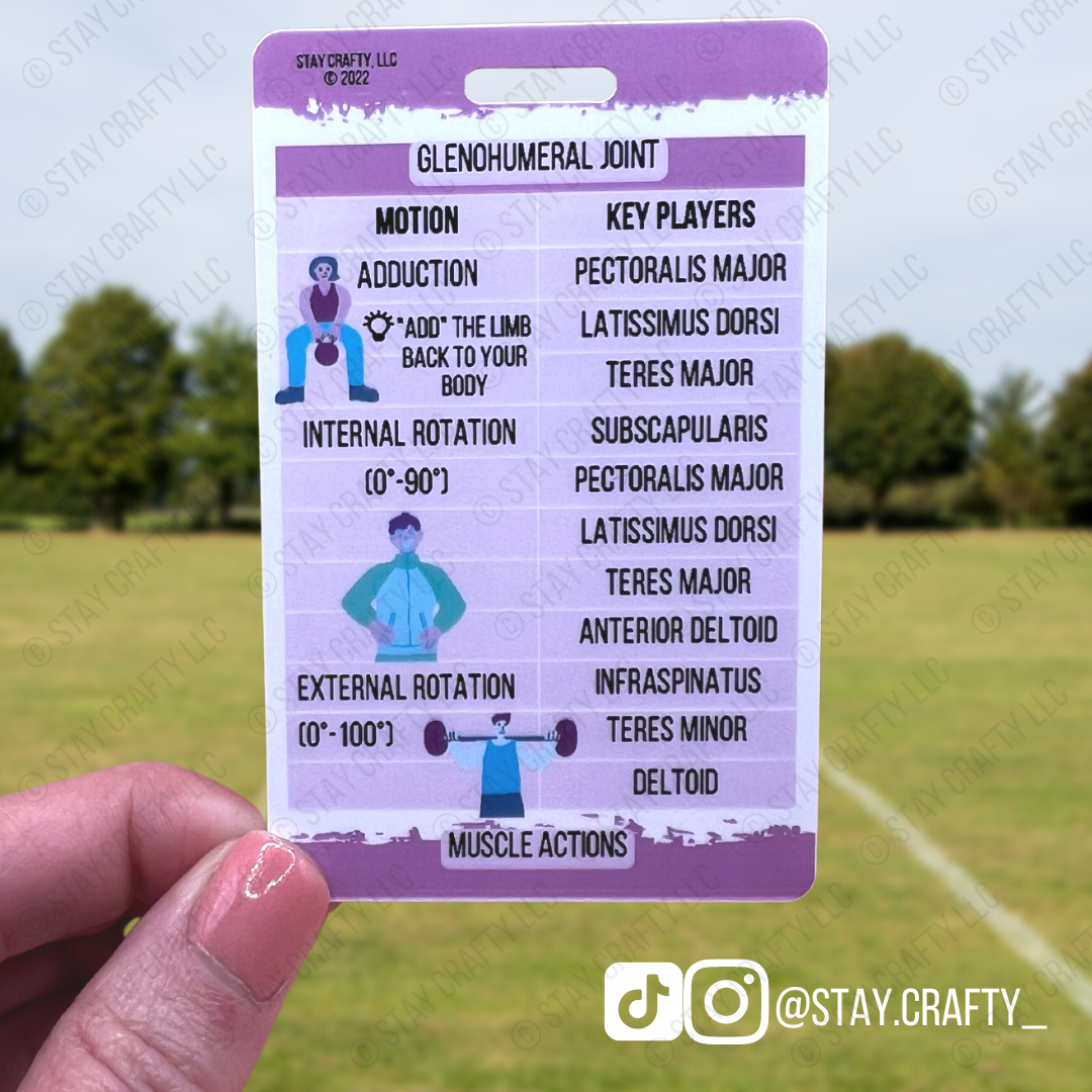 Shoulder Muscle Actions Badge Card