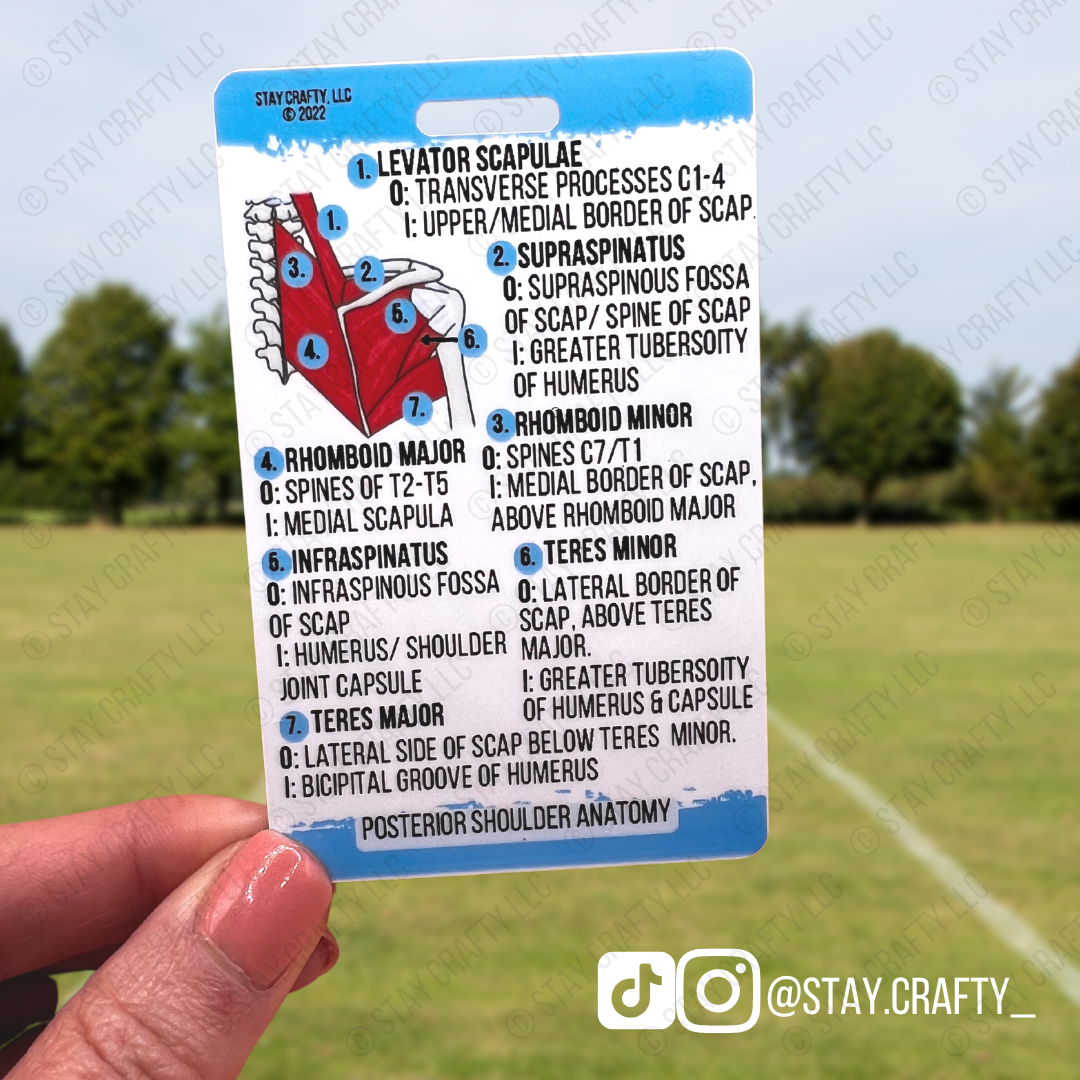 Shoulder Anatomy Badge Card