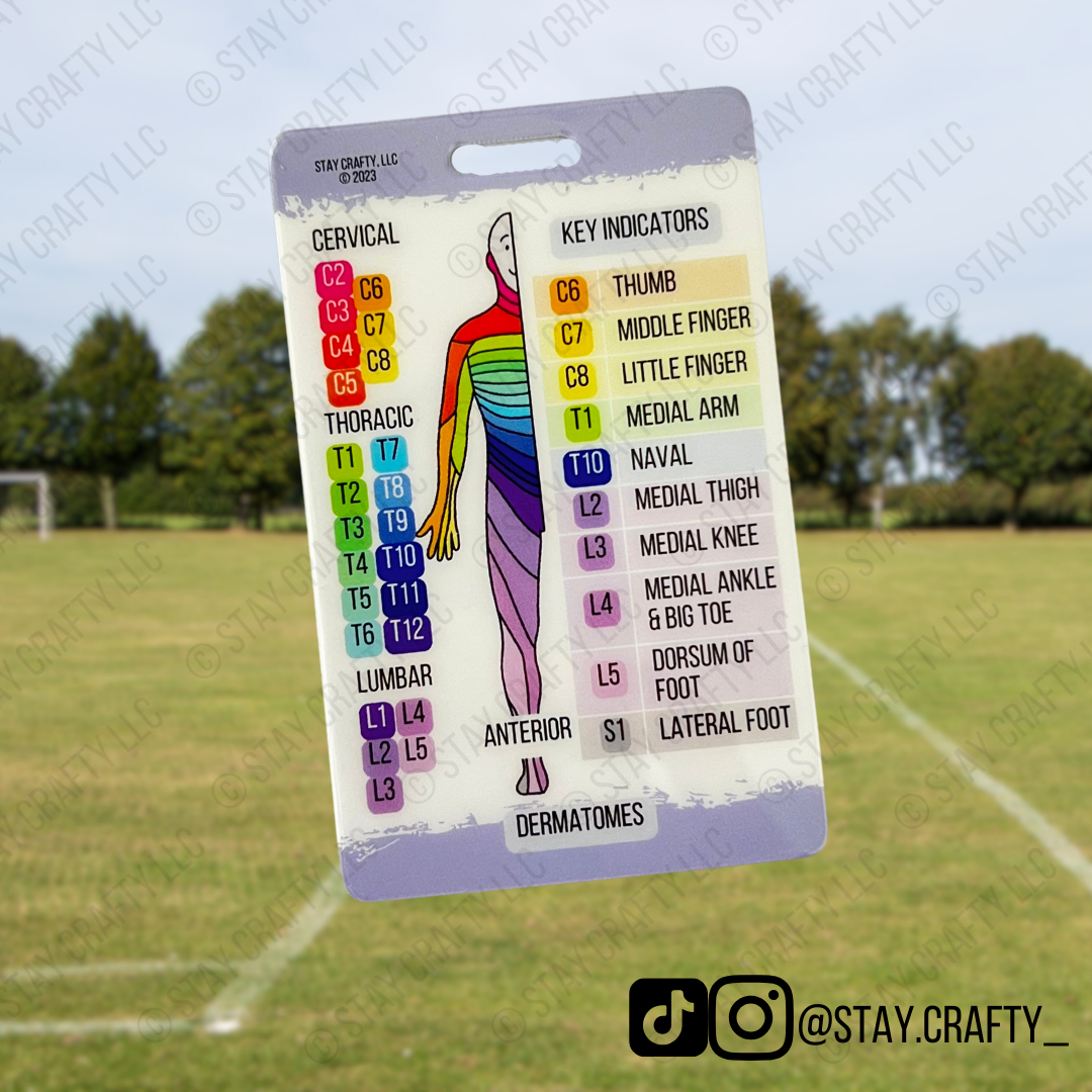 Dermatomes/Myotomes Badge Card