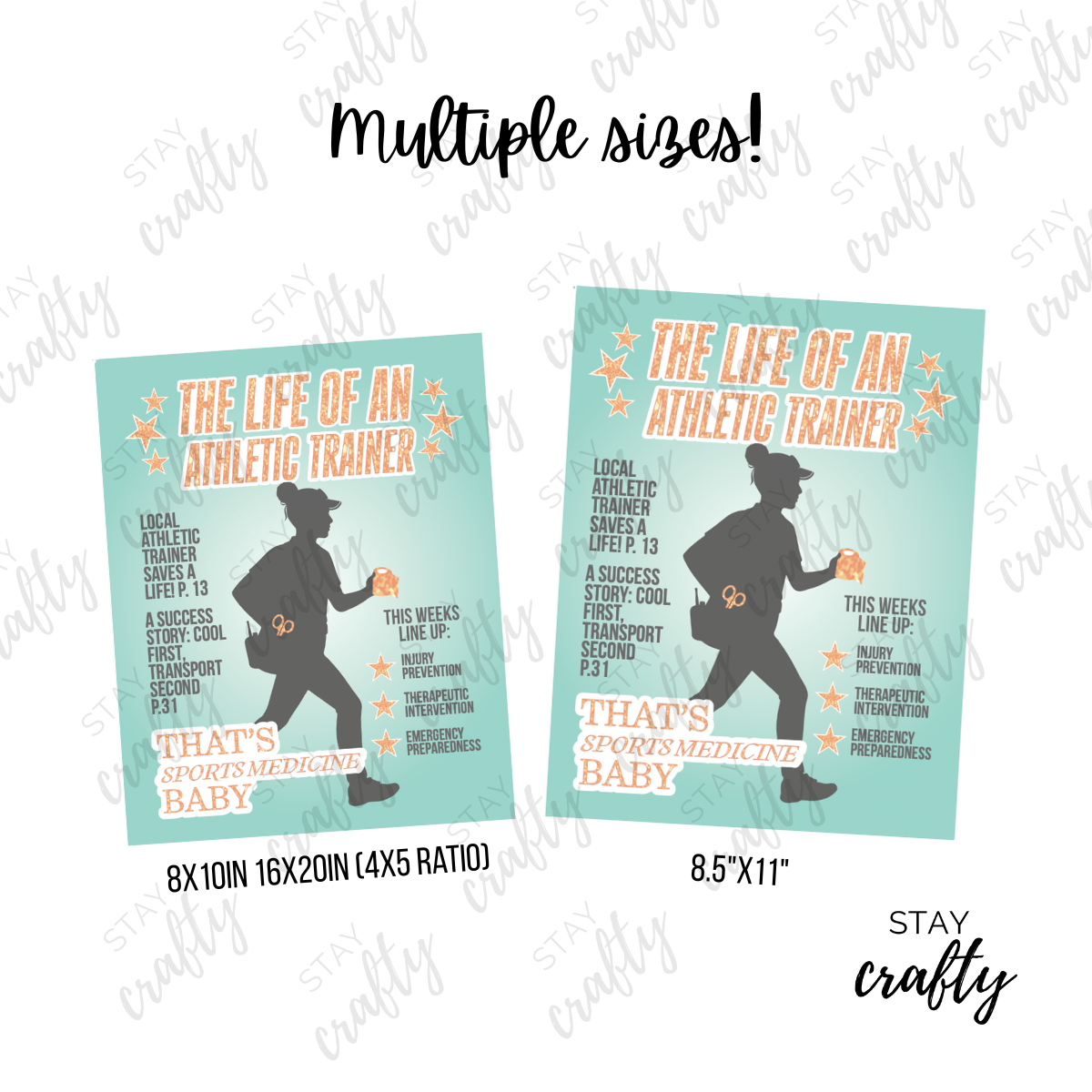 The life of an AT Poster PDF- Digital Download