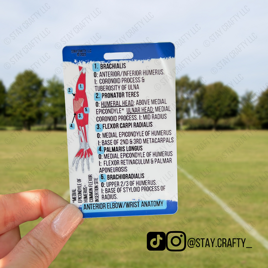 Elbow/wrist Anatomy Badge Card