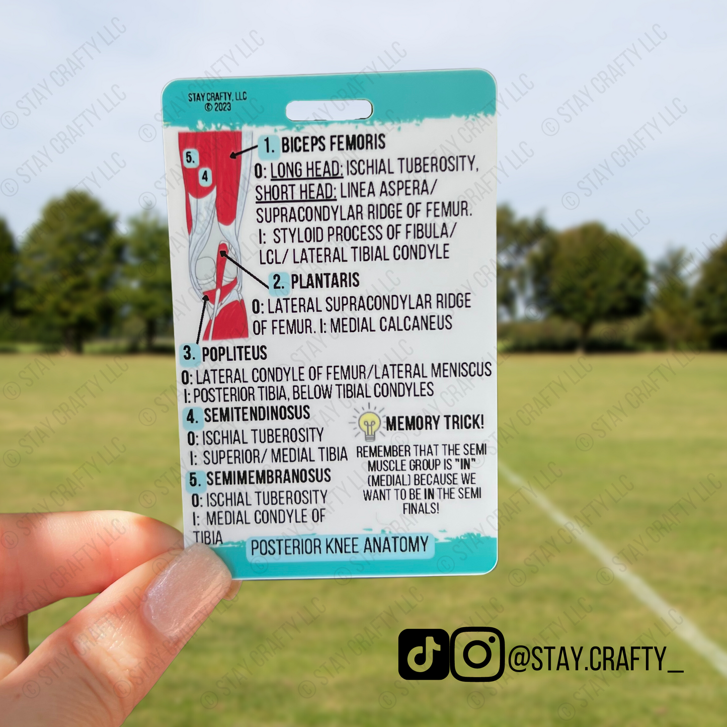 Knee Anatomy Badge Card