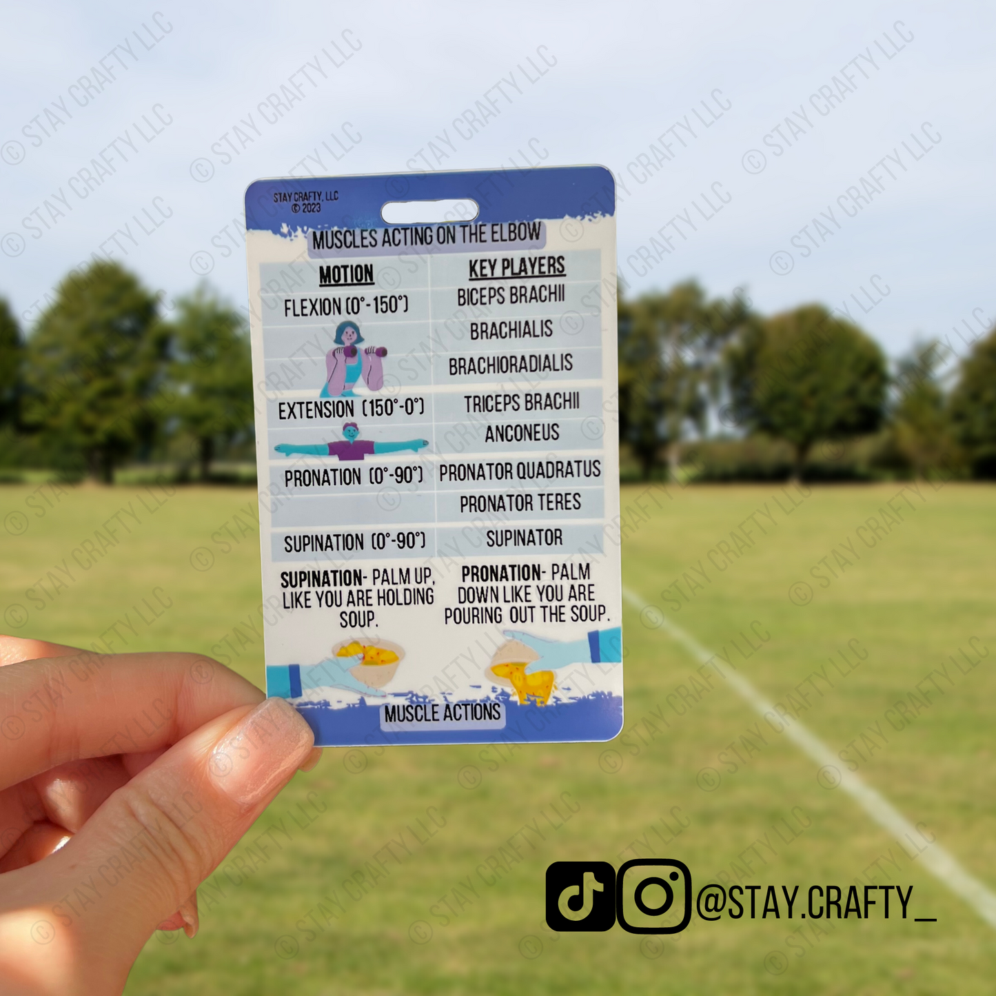 Elbow/wrist Muscle Actions Badge Card