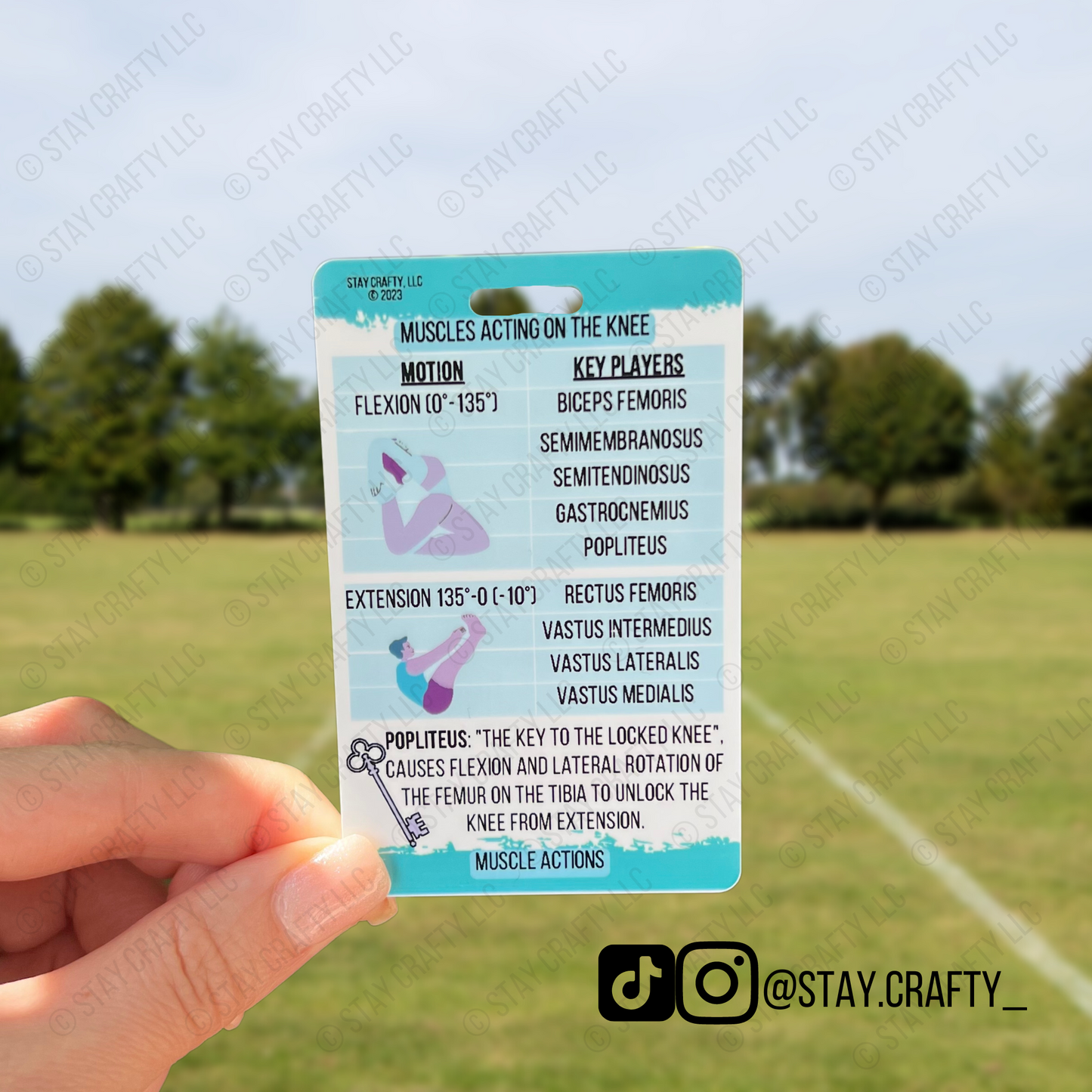 Ankle/Knee Muscle Actions Badge Card