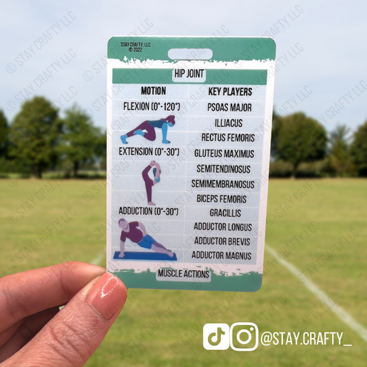 Hip Muscle Actions Badge Card