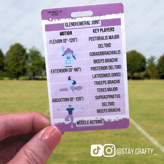 Shoulder Muscle Actions Badge Card