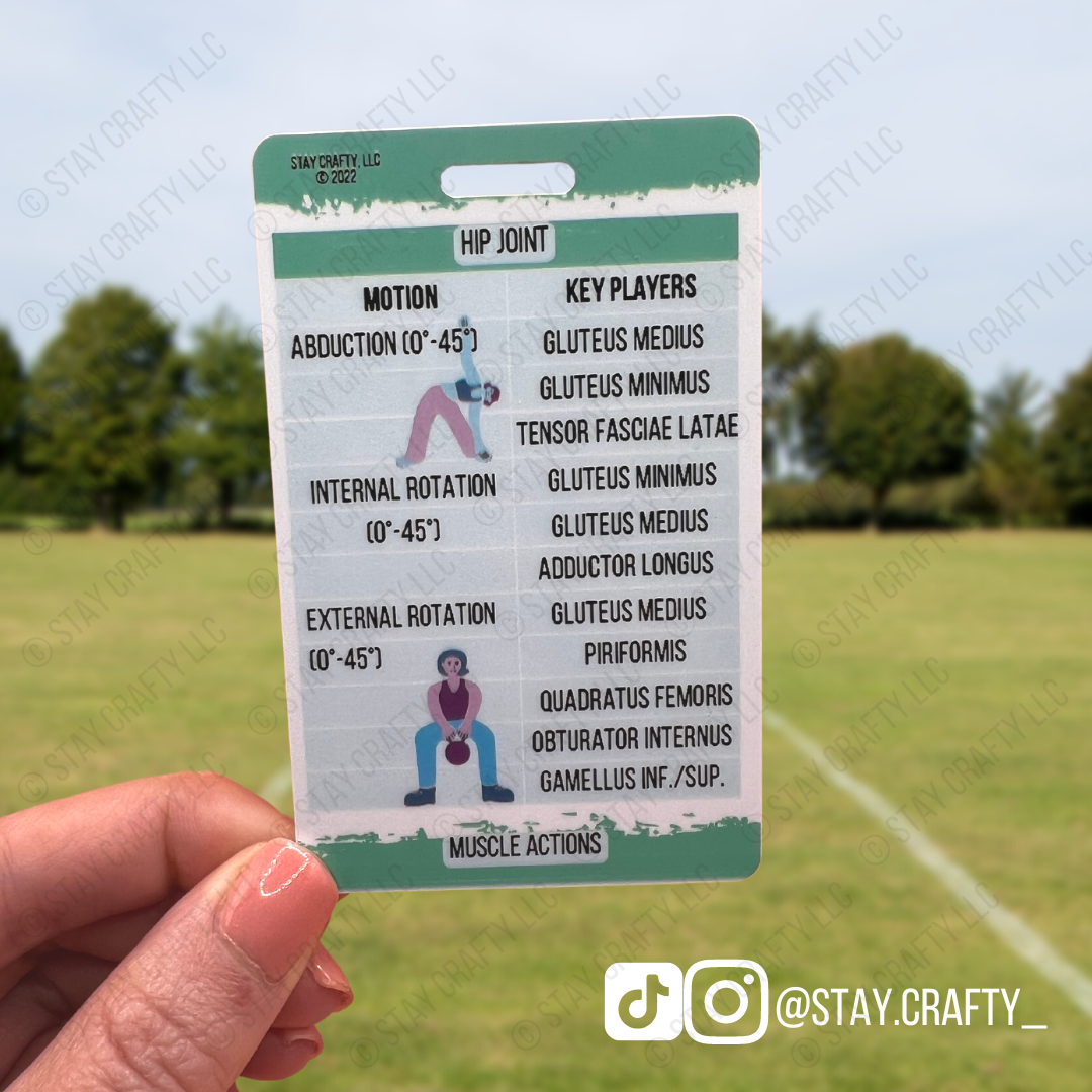 Hip Muscle Actions Badge Card