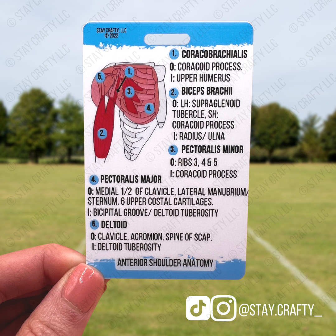 Shoulder Anatomy Badge Card